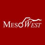 Download Database from MesoWest
